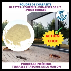 ACTO - Acto poudre anti-insectes rampants : protection naturelle et efficace