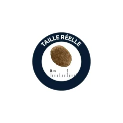 ADVANCE - Advance diet croquettes chat urinary low calories 1,25 kg