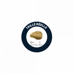 ADVANCE - Croquettes chat adulte sensitive sterilized saumon - advance 10 kg