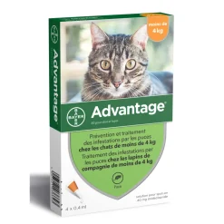 ADVANTIX - Antiparasitaire pour chat/lapin de moins de 4 kilos : 4 pipettes