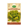 AGREEN - 10 envelope of eco seeds salad maravilla agreen