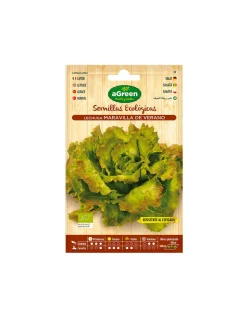 AGREEN - 10 envelope of eco seeds salad maravilla agreen