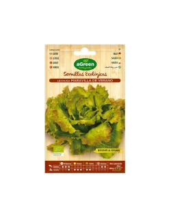 AGREEN - 10 envelope of eco seeds salad maravilla agreen