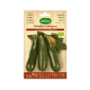 AGREEN - 10 sachet de graines de courgette noire eco seeds beauty agreen
