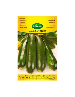 AGREEN - 10 sachet de graines de courgette black beauty agreen