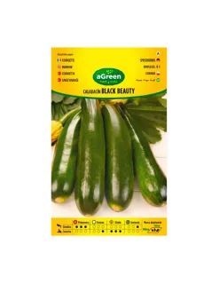 AGREEN - 10 sachet de graines de courgette black beauty agreen