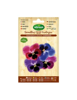 AGREEN - 10 sachet de graines pansy géant d'accord