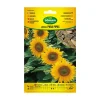AGREEN - Graines de tournesol pour tuyaux 301024bolsh daccord - agreen
