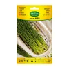 AGREEN - Sur graines de ciboulette annuelle 000239bolsh daccord - agreen