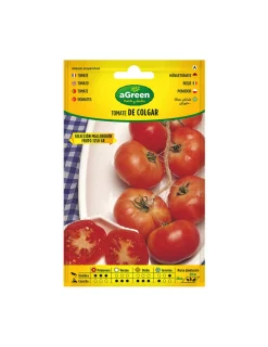 AGREEN - Sur semences suspendues tomate mallorquin 000714bolsh daccord - agreen