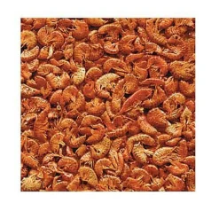 ANIMALLPARADISE - Gammarus, aliment naturel pour aquariophilie 100 g pour tortues d'eau