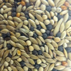 ANIMALLPARADISE - Graines canari, nutrimeal - 12kg pour oiseaux