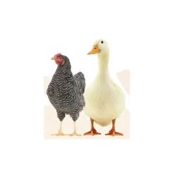 ANIMALLPARADISE - Natur' vers, contre les vers pour poules et canards 250 ml