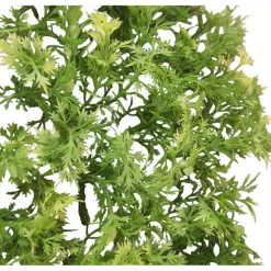 ANIMALLPARADISE - Plante décorative en plastiques imitation érable australien d'environ 46 cm