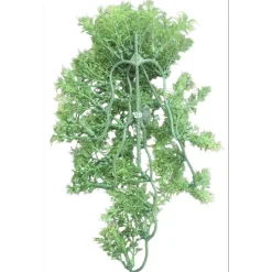 ANIMALLPARADISE - Plante décorative en plastiques imitation érable australien d'environ 46 cm