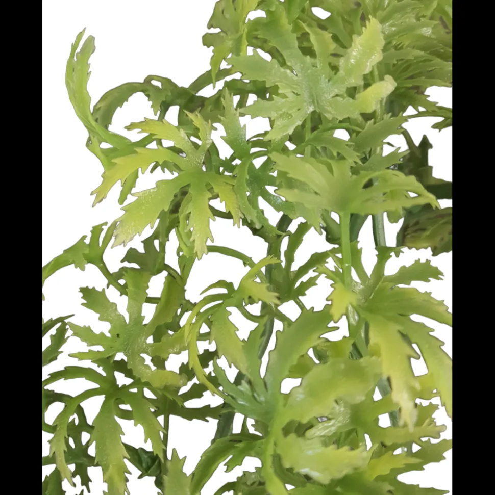 ANIMALLPARADISE - Plante décorative en plastiques imitation canna... De jamaïque d'environ 56