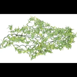 ANIMALLPARADISE - Plante décorative en plastiques imitation croton bolivien d'environ 56 cm