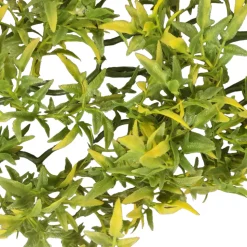 ANIMALLPARADISE - Plante décorative en plastiques imitation croton bolivien d'environ 56 cm