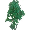 ANIMALLPARADISE - Plantes décorative imitation lierre du congo d'environ 36 cm