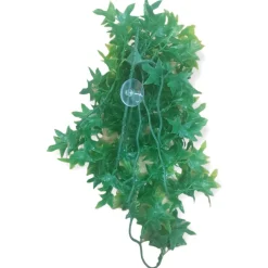 ANIMALLPARADISE - Plantes décorative imitation lierre du congo d'environ 36 cm