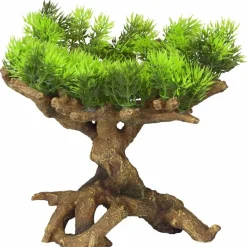 AQUA D'ELLA - Décoration d'aquarium 11 taille m 22x19x23,5 cm 234/432150