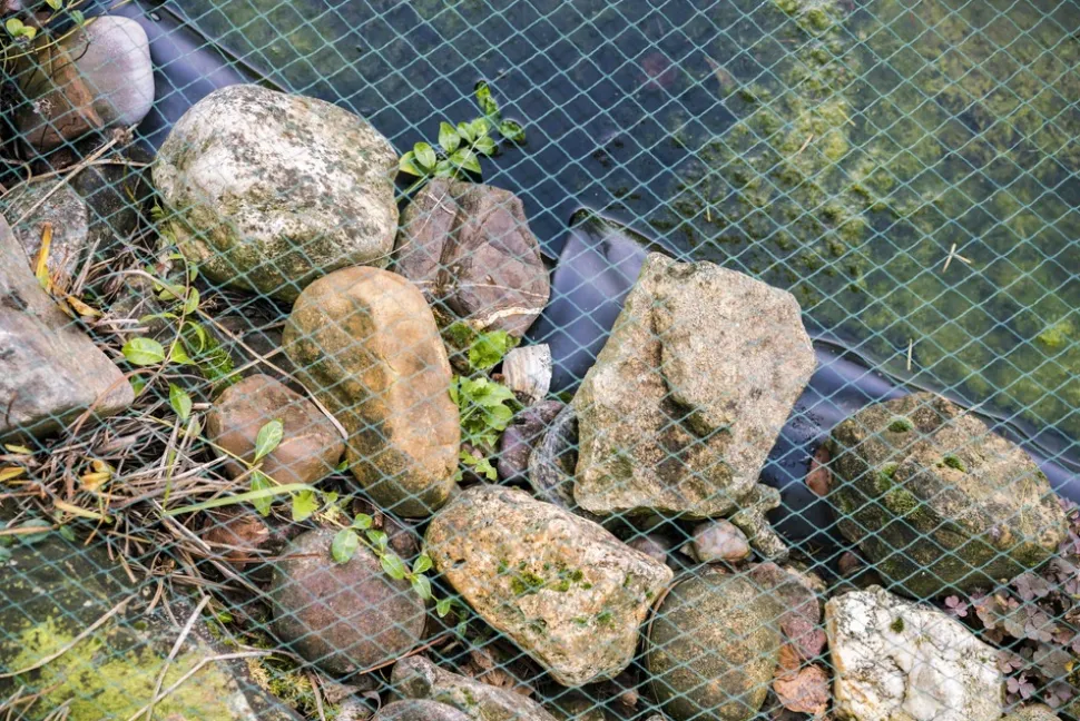 AQUAGART - Filet de bassin 36 m x 16 m filet de feuillage filet de protection contre les feuilles robuste