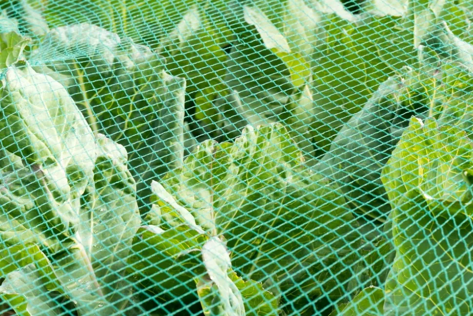 AQUAGART - Filet de bassin 3 m x 12 m, filet à feuilles, filet de silo, filet de protection contre les feuilles