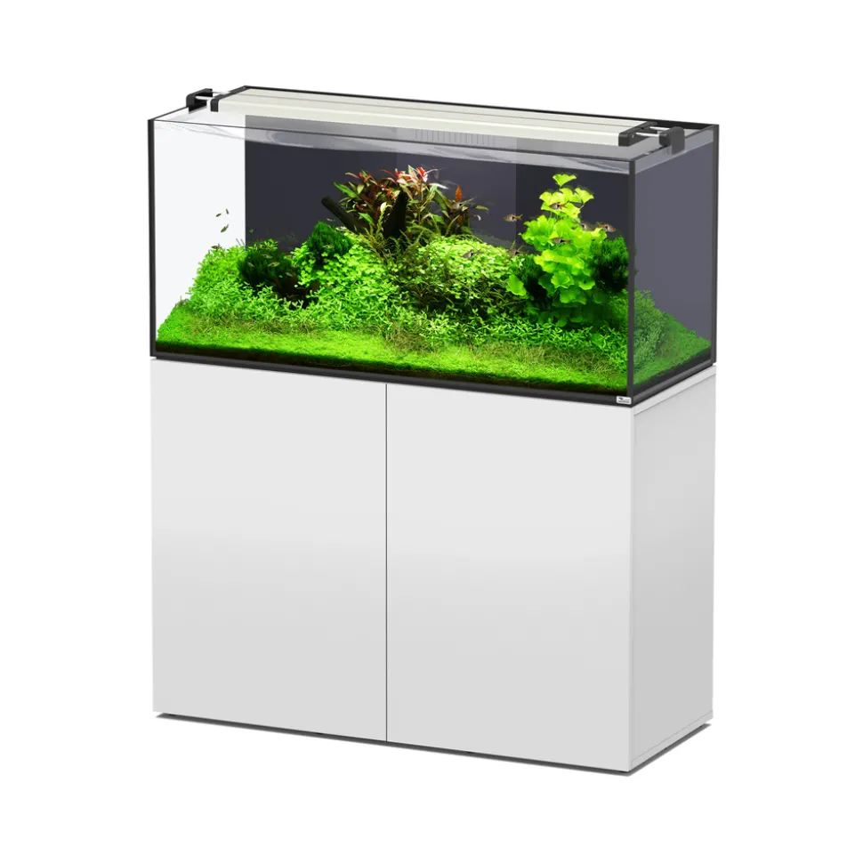 AQUATLANTIS - Aquarium avec meuble Aquaview 120 blanc -120x50x55 cm 330 L