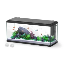 AQUATLANTIS - Aquarium Explorer Amsterdam 80 noir : L.80xP.30xH.37 cm - 85 litres