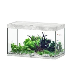 AQUATLANTIS - Aquarium Sublime Led 2.0 Pro Béton L.100x P.50x H.60cm