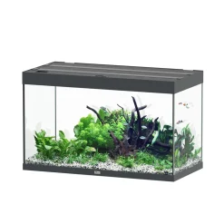 AQUATLANTIS - Aquarium Sublime Led 2.0 Pro Gris L.100x P.50x H.60cm