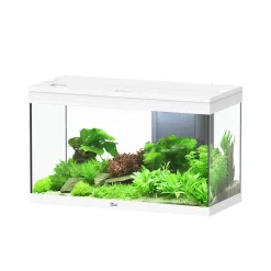 AQUATLANTIS - Aquarium Volga 125 Led 2.0 Blanc