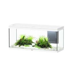 AQUATLANTIS - Aquarium Volga 240 Led 2.0 Blanc