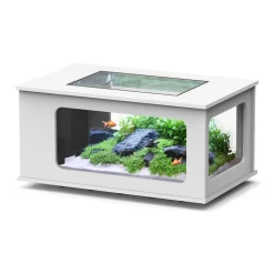 AQUATLANTIS - Table basse Aquarium Mesa Salao équipée Blanche L.100x P.63x H.51,5cm