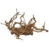 AQUAVIE - Décor aquarium/terrarium: Racine araignée 40-50 cm