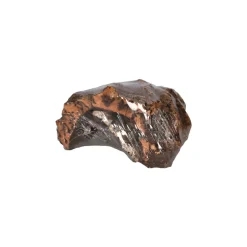 AQUAVIE - LIEGE LOT PLATEAU-ARCHE 15-50cm