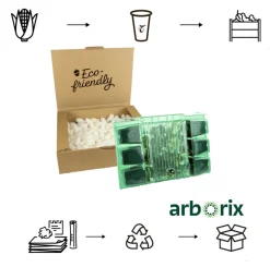 ARBORIX - 6 x camomille romaine - chamaemelum nobile - godet 9cm x 9cm