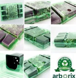 ARBORIX - 6 x cerfeuil musqué - myrrhis odorata - godet 9cm x 9cm