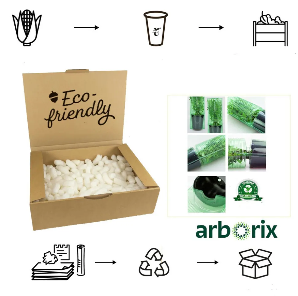 ARBORIX - 2 x rosier couvre-sol - rosa 'white fairy'