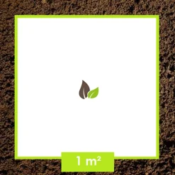 ARBORIX - 2 x rosier grimpante kordes - rosa 'jasmina'®