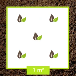 ARBORIX - Rosier kordes - rosa 'bordeaux'®