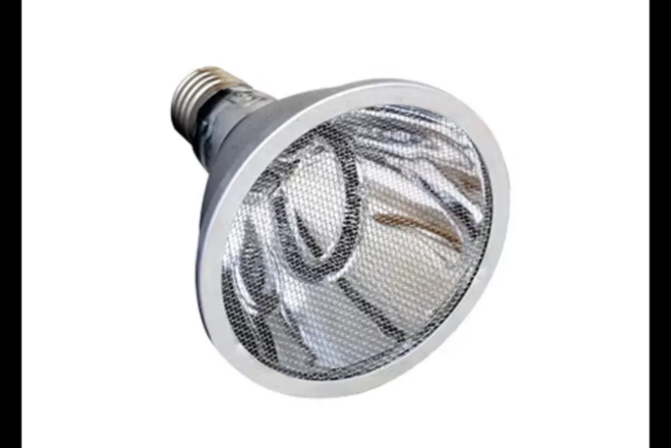 ARCADIA - Lampe à résistance chauffante - deep heat projector 50w - chauffage pour reptiles en terrarium