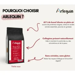 ARLEQUIN IRRESISTIBLE - Croquette chien petite race superfood sans céréales arlequin irrésistible boeuf angus 6 kg