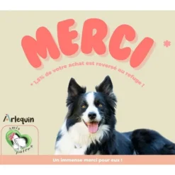 ARLEQUIN ORIGINELLE - Croquette chien sans céréales arlequin originelle bœuf angus 12 kg