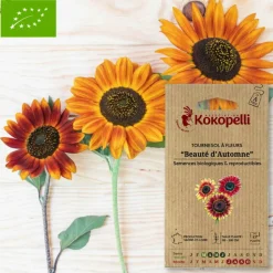 ASSOCIATION KOKOPELLI - Graines bio à semer - tournesol à fleurs beauté d'automne