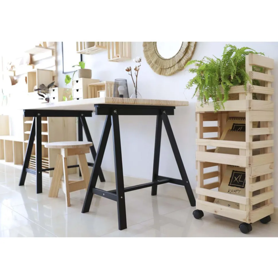 ASTIGARRAGA - Caisse de rangement sur roulettes evolution (lot de 3)