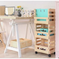 ASTIGARRAGA - Caisse de rangement sur roulettes evolution (lot de 3)