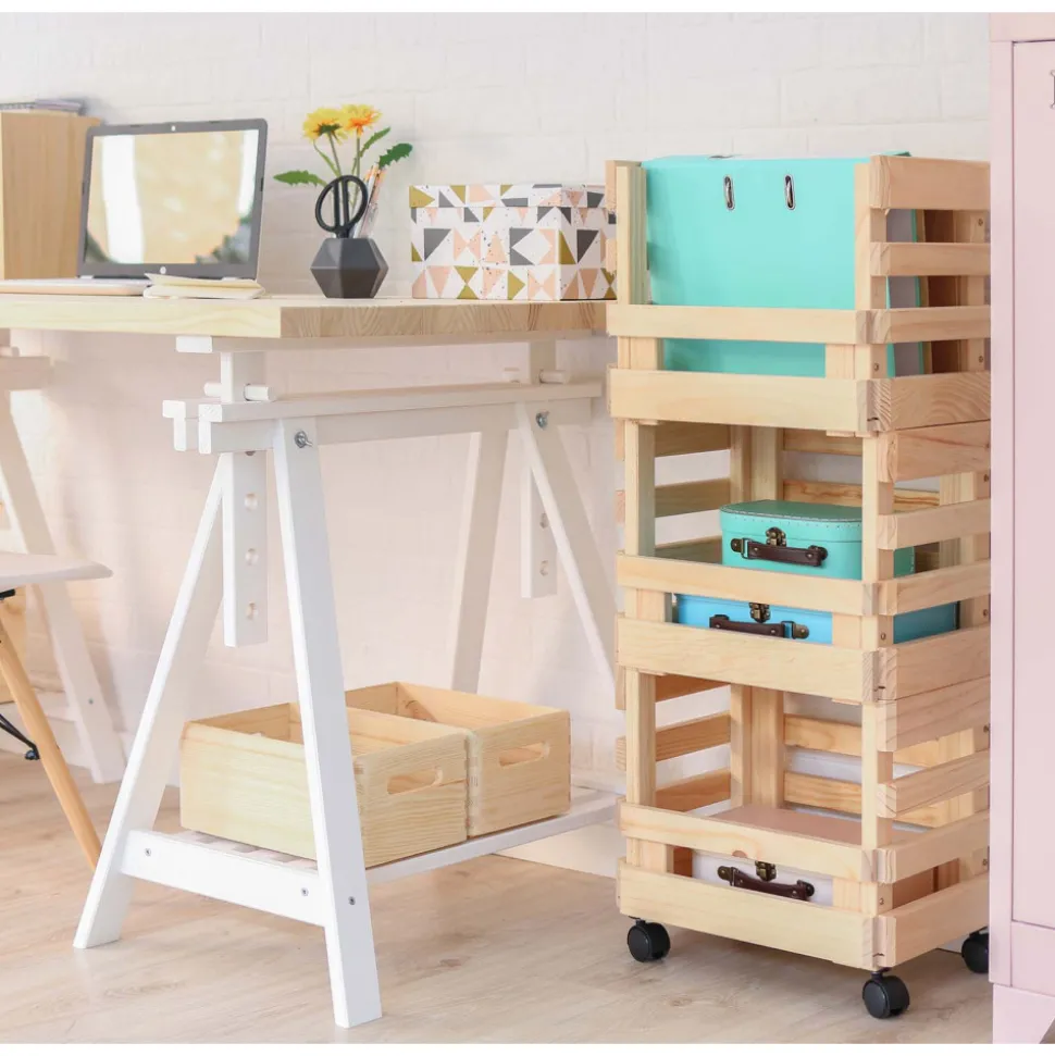 ASTIGARRAGA - Caisse de rangement sur roulettes evolution (lot de 3)