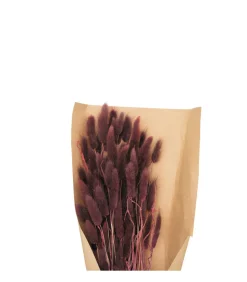 ATMOSPHERA - Bouquet de fleurs séchées queue de lapin violet d. 18 x h. 58 cm