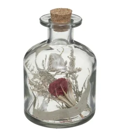 ATMOSPHERA - Fleurs séchées dans bouteille en verre d 8 x h 11 cm